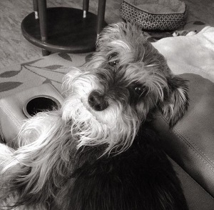 Fundraising Page: Caroline Anderson